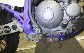 YAMAHA TT250R RAID 1997 4GY
