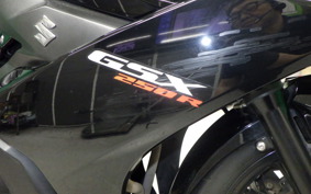SUZUKI GSX250R 1983