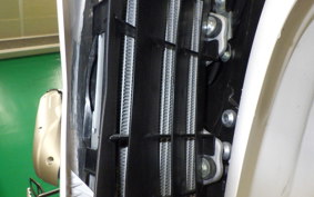YAMAHA WR250X 2020 DG15J