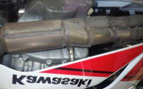 KAWASAKI NINJA ZX-6R A 2022 ZX636G