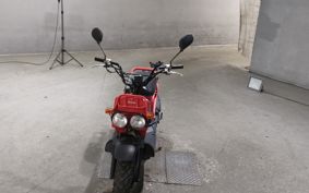 HONDA ZUMAR AF58