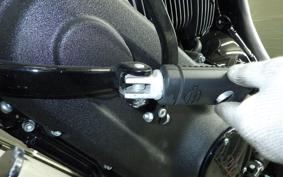 HARLEY FXLRST1920 2023