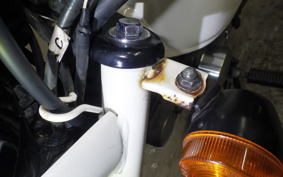 HONDA GORILLA 2024 AB27