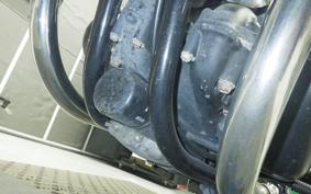 KAWASAKI W800 CAFE 2022 EJ800E