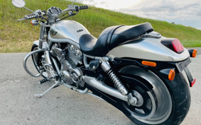 HARLEY VRSCA 2003 HAZ