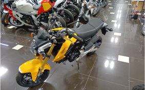 HONDA GROM JC61