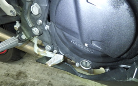 KAWASAKI NINJA 250 2010