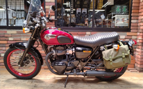 KAWASAKI W800 Special Edition 2013 EJ800A