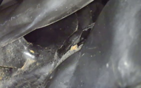HONDA GYRO CANOPY 2000 TA03