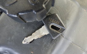 YAMAHA MINT 1YU