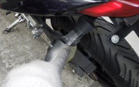 KAWASAKI NINJA 250 EX250L