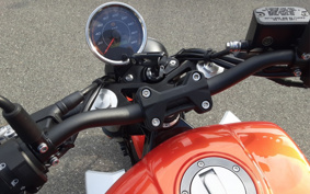 HARLEY X350 2024 W3C