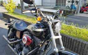 HARLEY FXDL 100th 2003 GDV