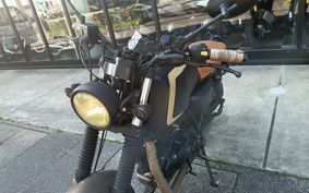OTHER MAT MOTOR MONGREL250