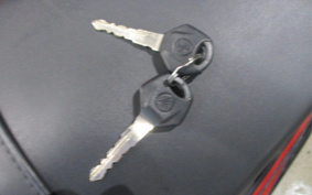 YAMAHA YZF-R3 2015 RH07J