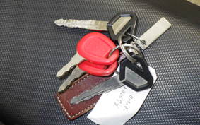 KAWASAKI KLX250D TRACKER X LX250V