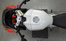 YAMAHA XSR900 GP 2024 RN96J