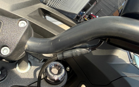 HARLEY FXLRST 2024 YXZ