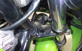 KAWASAKI GPZ900R NINJA 1999 ZX900A