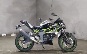 KAWASAKI Z250 SL BR250E