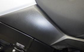 SUZUKI DL650 ( V-Strom 650 ) XTA 2019 C733A