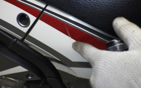 HONDA CRF250 RALLY A MD44