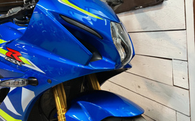 SUZUKI GSX-R1000R ABS 2018 DM11G