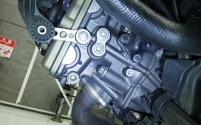 DUCATI MONSTER 937 + 2021