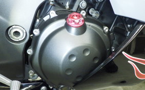 KAWASAKI ZX 1400 NINJA R 2013