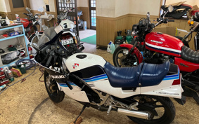 SUZUKI RG250 GJ21A