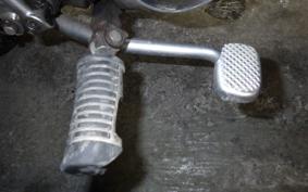 HONDA MONKEY 2024 Z50J