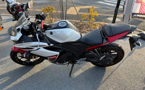 YAMAHA YZF-R25 RG10J
