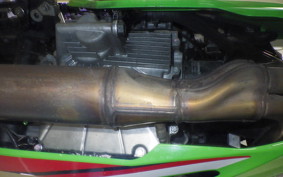 KAWASAKI ZX-4RR 2023