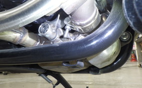 TRIUMPH BONNEVILLE T100 2022