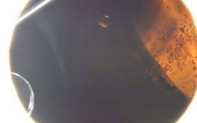 HARLEY FLSS 1800 2016