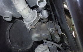 HONDA LITTLE CUB 2020 C50