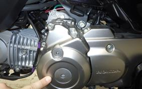 HONDA MONKEY 125 1995 JB03