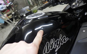 KAWASAKI NINJA 250 EX250L