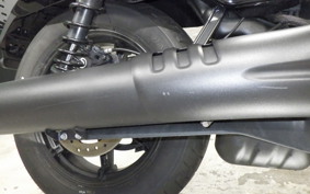 HARLEY RH975 2022