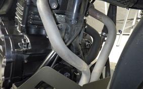 SUZUKI V-STROM 250 1994