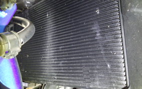 YAMAHA XSR900 2024 RN80J