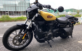 HARLEY RH975Sナイトスター 2024 ZF1