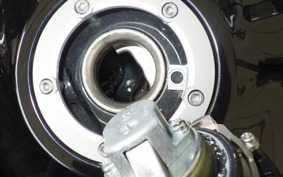 SUZUKI GSX250 R 2025