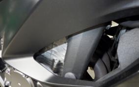 KAWASAKI NINJA ZX-6R 2020 ZX636G