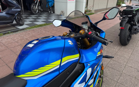 SUZUKI GSX-R1000R ABS 2019 DM11G
