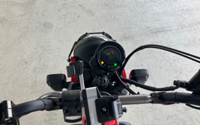 HONDA CT125 HUNTER  CUB  JA55