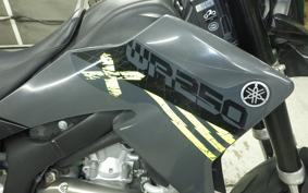 YAMAHA WR250X DG15J