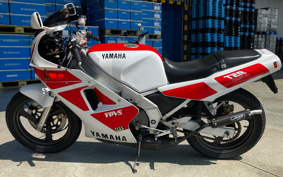YAMAHA TZR250-1 1KT