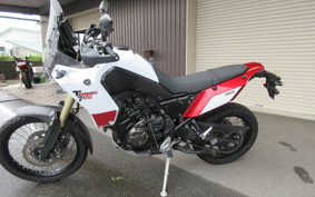 YAMAHA TENERE 700 2020 DM09J