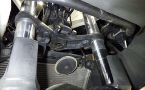 KAWASAKI NINJA 250 2009 EX250L
